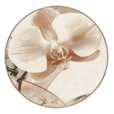 Tapis beige moelleux moelleux en orchidée chic et luxueux beige - reliure beige