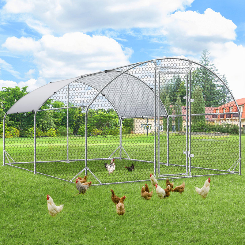 Promenade de Chudleigh dans Â« La Fuite des poulets Â», H 76,8 po x l 120 po x P 156 po