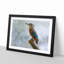 Graceful Kingfisher Bird - Picture Frame Graphic Art Print-56713432-56713433