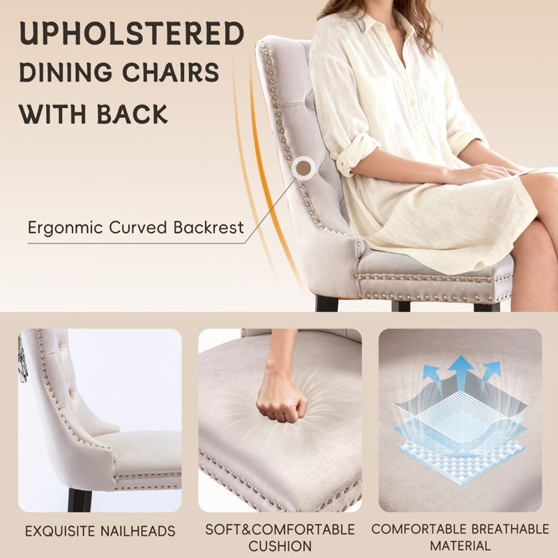 Ensemble de 8 chaises de salle à manger rembourrées Modern, Brun, Beige