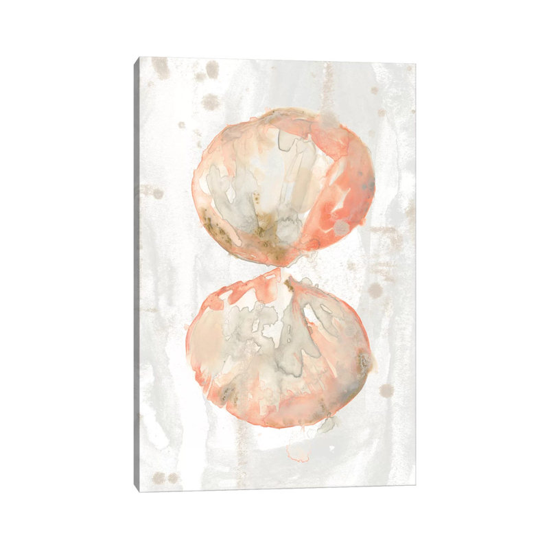 Muted Molusk I by June Erica Vess - Wrapped Canvas Gallery-Wrapped Canvas Giclée, 30.48cm H x 20.32cm W