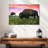 Brampt Bison And Buffalo-108872329