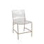 Penelope Side Chair in Clear-20972786