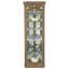 Delia Solid Wood Lighted Curio Cabinet-1383058752