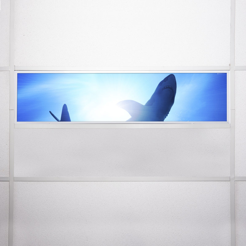 Ocean Rectangle Fixture Component Ceiling Light