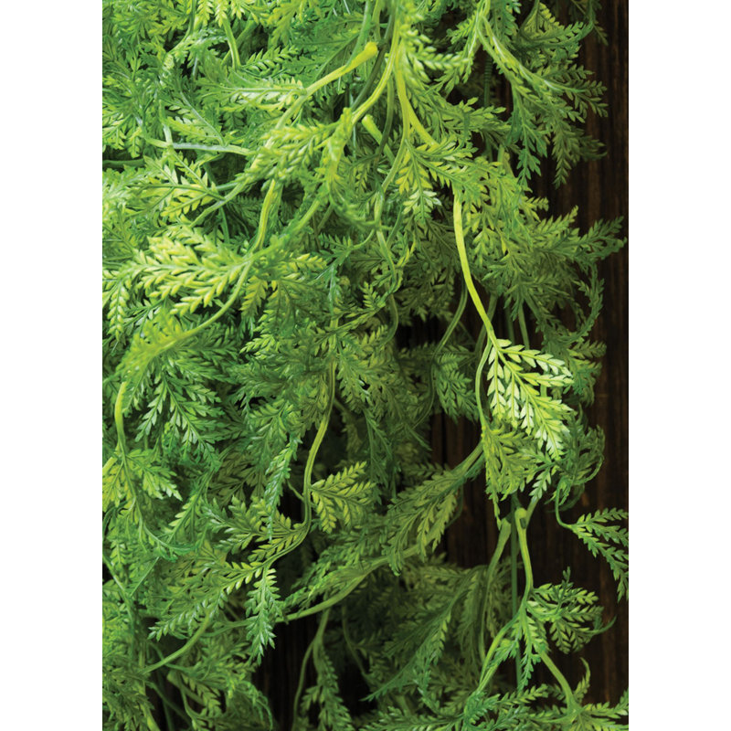 Fougère artificielle 6 po