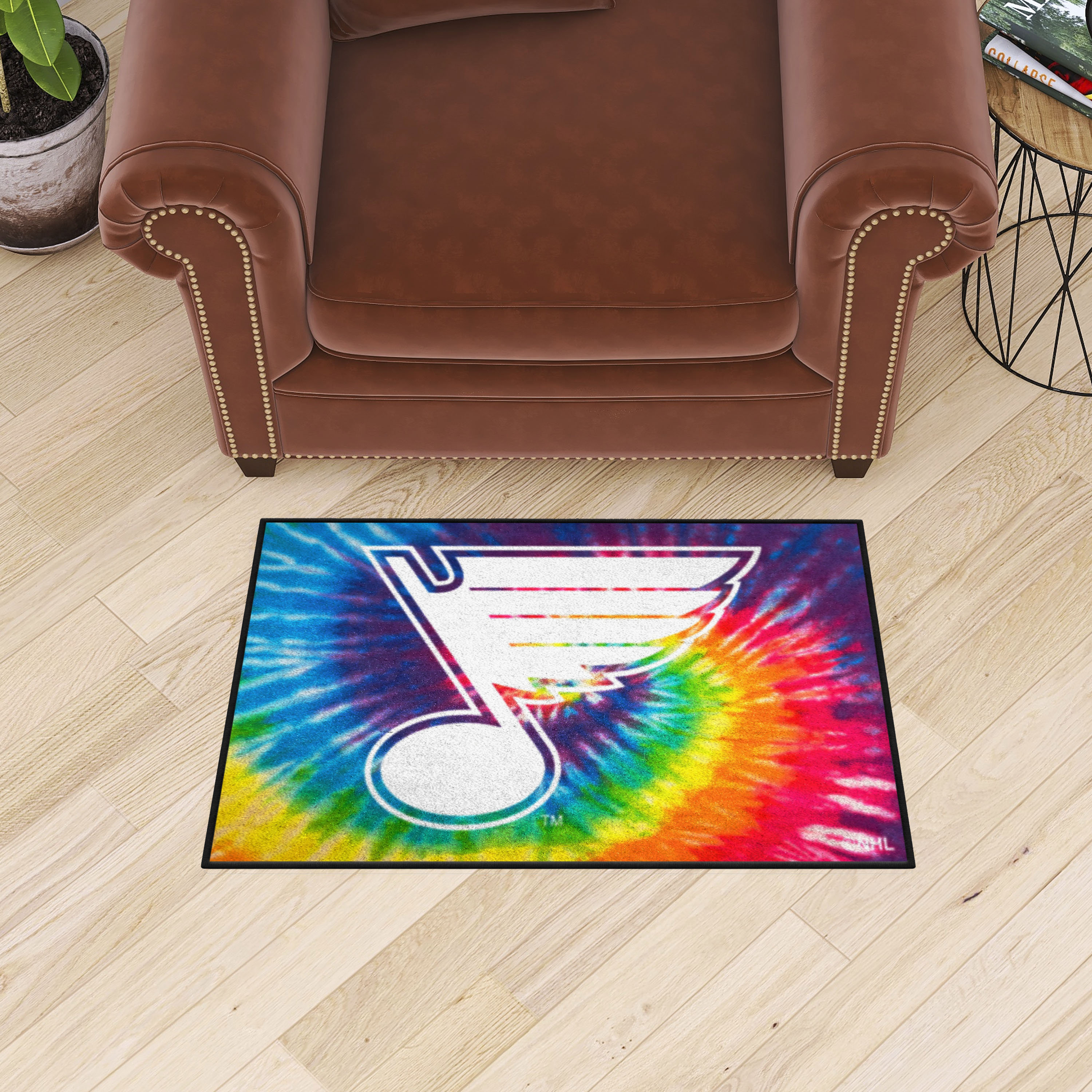 FANMATS St. Louis Blues Starter Mat, Wayfair