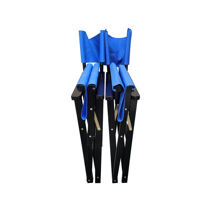 Ensemble de 2 chaises de réalisateur pliantes avec sièges en toile, structure en bois massif Populus, bleu