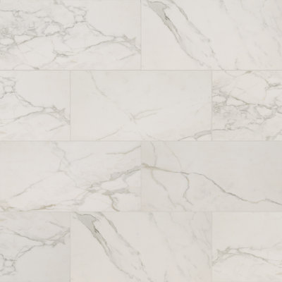 Palazza 12" x 24" Porcelain Marble Look Tile