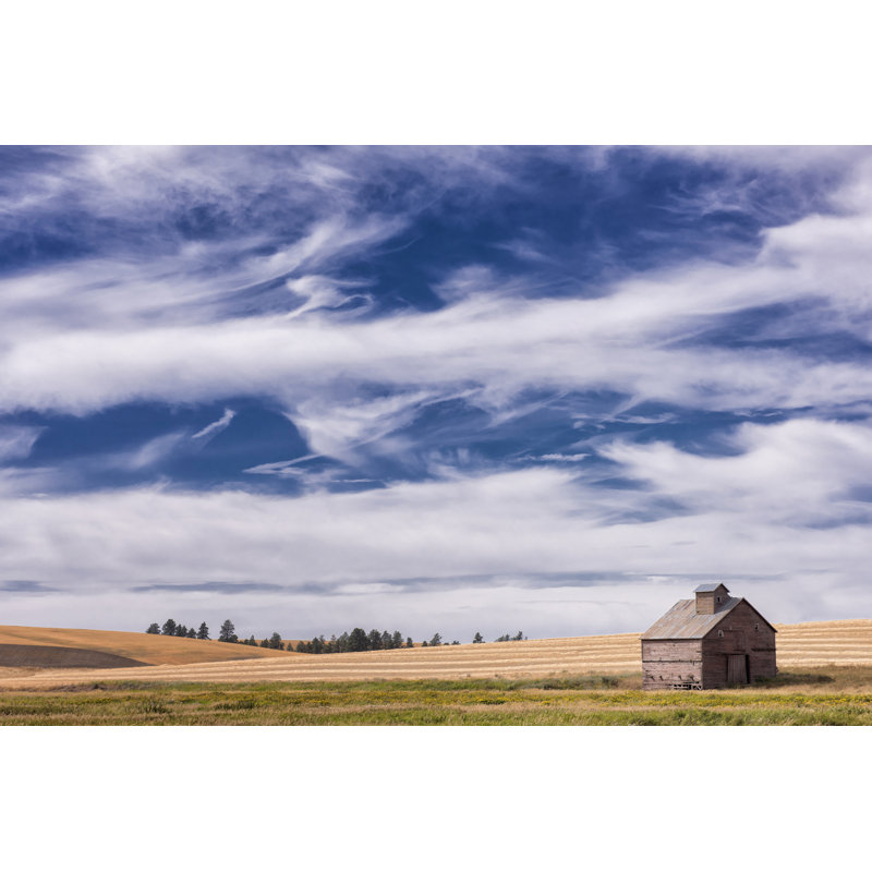 Farm & Field I by PHBurchett - Wrapped Canvas Print, 30cm H x 46cm W