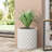 Eisenhart Handmade Pot Planter-1672220920