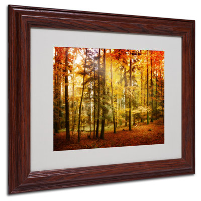 « chute color », reproduction de photo sur toile encadrée