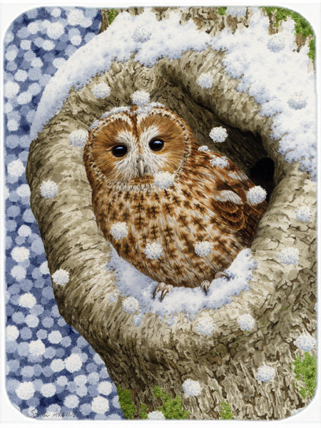Planche à découper en verre caroline trésors de l’arbre Tawny Owl