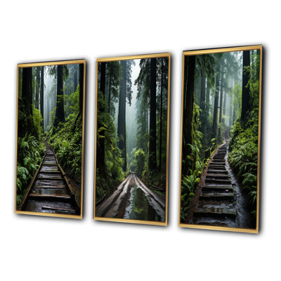 États-Unis - Monument national de Muir Woods - Ensemble de 3 pièces