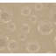 Versace Foil Gilded Age Unpasted Vinyl Wallpaper-1525377113