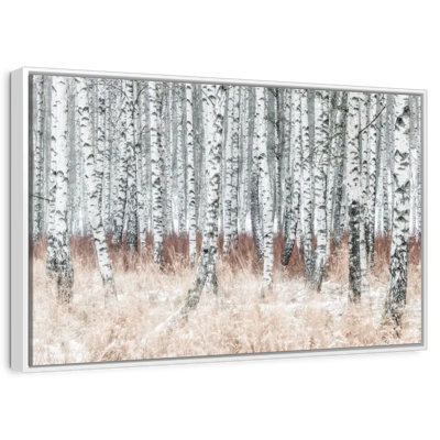 Hiver, forêt de bouleaux