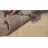 Zoltán Hand Woven Cotton Striped Rug-1789582767