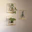 Ensemble de 3 pots à fleurs avec cadre photo, étagères suspendues en métal modernes pour plantes, support de pot de fleurs mural antirouille-824678703