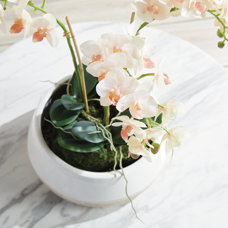 Light Pink Orchid 16" Mini Garden Drop-In