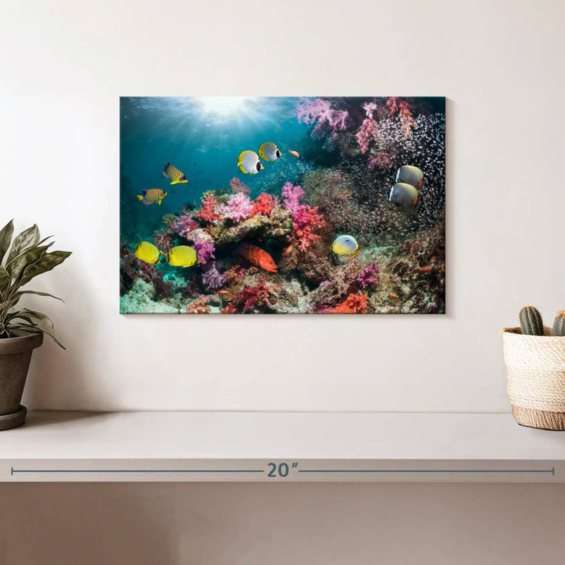 Andaman Sea Life, H 8 po x l 12 po