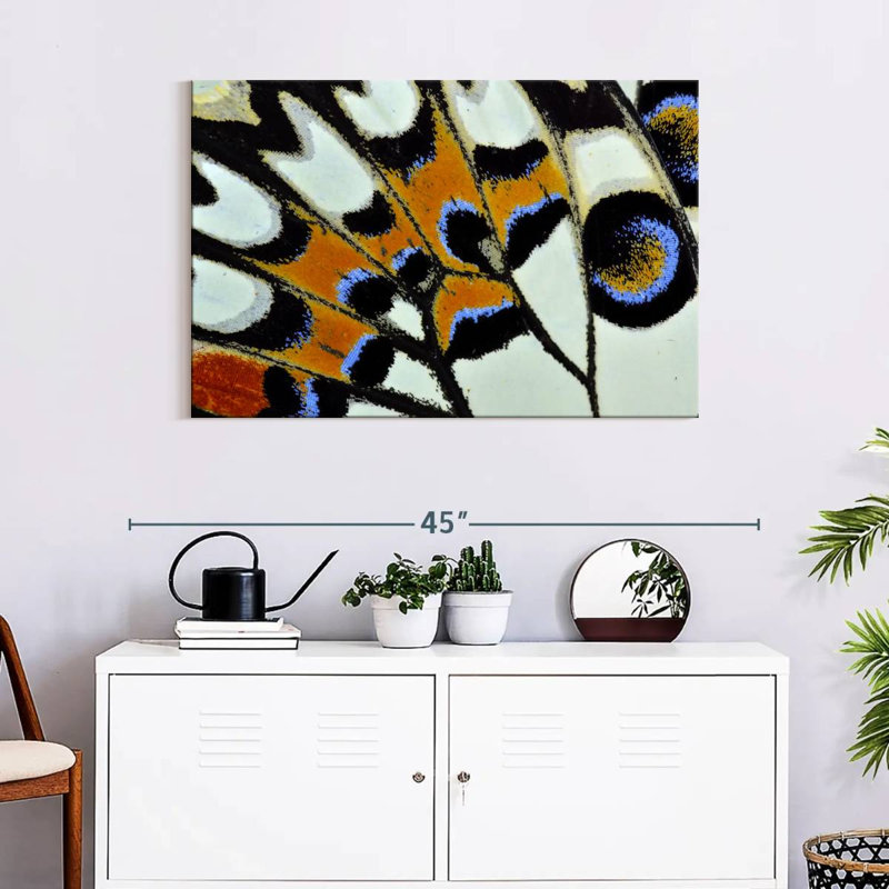 Brampt Butterfly Wing Close Up, 24" H x 36" W