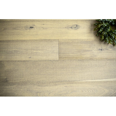 Oak Delray 6.5'' W Hardwood Flooring