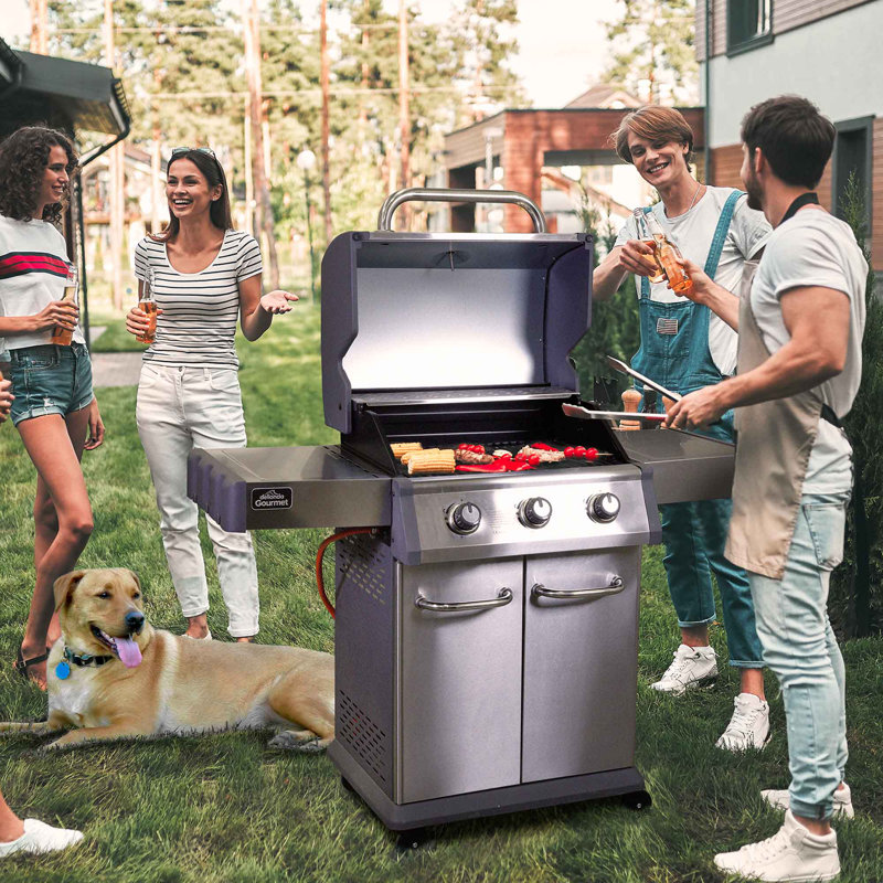 Gas BBQ Dellonda Countertop Liquid Propane Gas Grill with Side Burner and Cabinet, 3