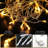 Loryssa 2 - Bulb LED Accent String Light-1957833619