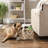 Pet Storage Collection Paw And Bone Print, Medium Rectangle-71499075-71499135