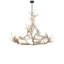 12 - Light Chandelier