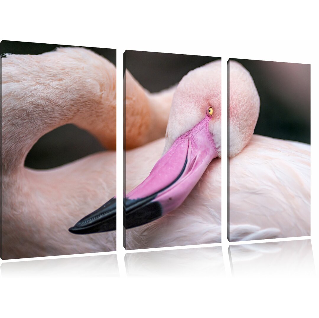 3-tlg. Leinwandbilder-Set „Schöner Flamingo“, Fotodruck