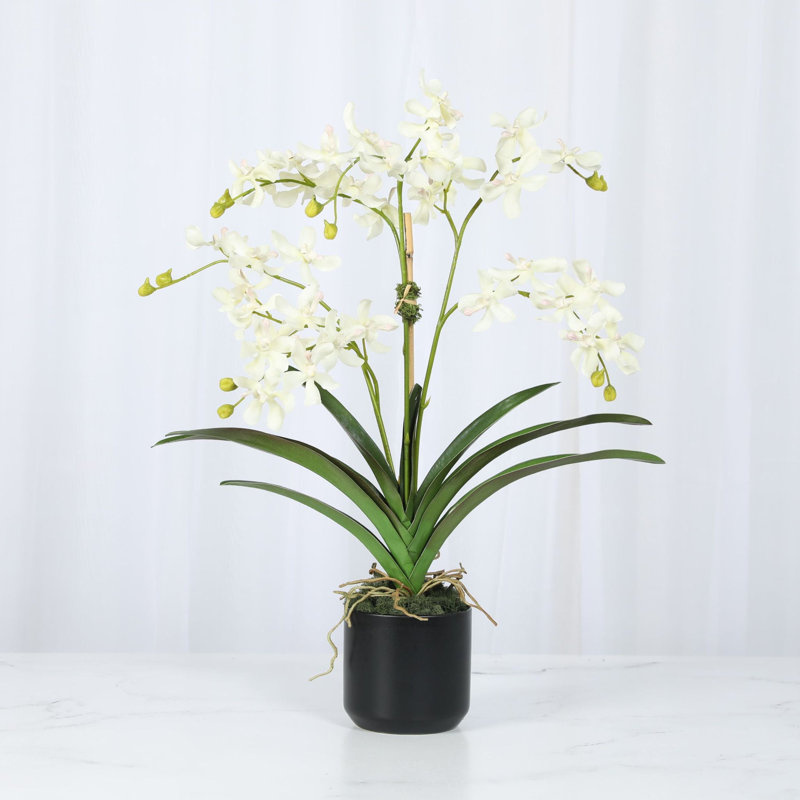 Arrangement d'orchidées en pot Polysilk, Blanc, Noir