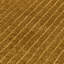 Battershall Rectangle Hand Tufted Dhurrie-290081224