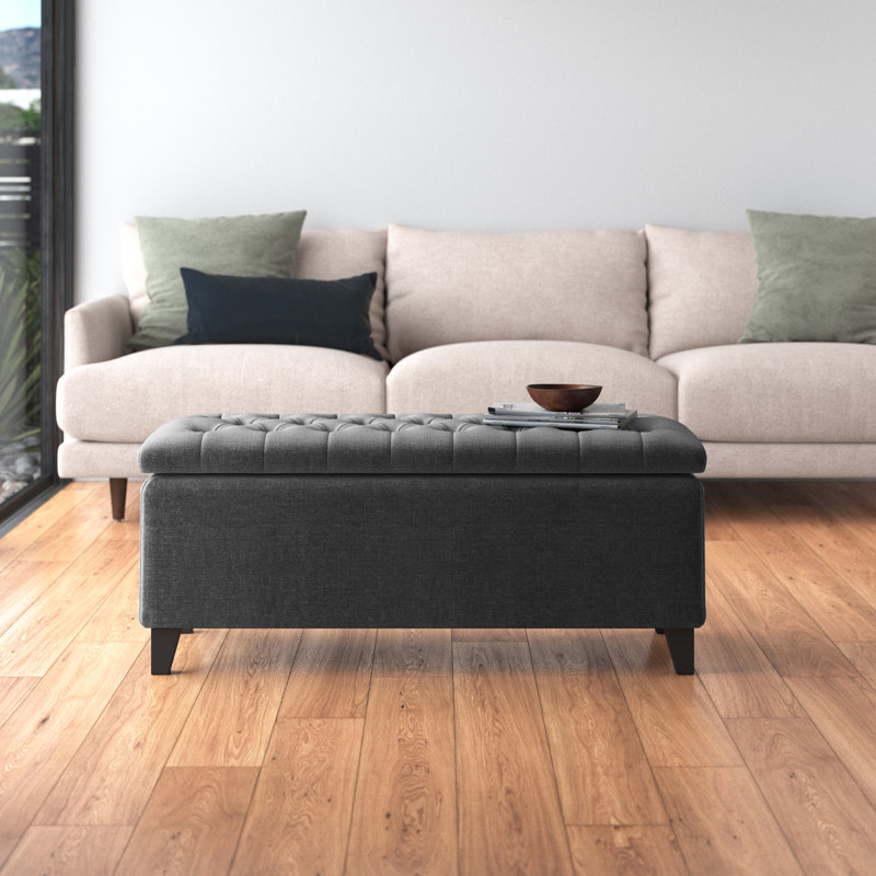 Banc de rangement à plateau capitonné Maniscalco, Gris anthracite