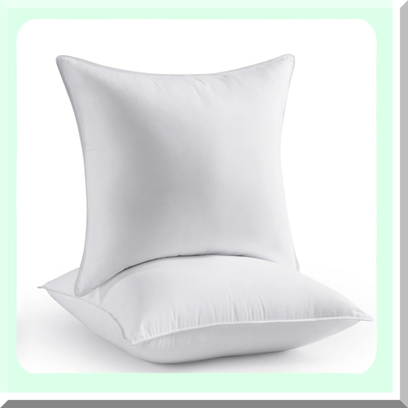 Fluffy Comfort Set - Throw Pillow Inserts for Couch & Sofa, Soft Square Form Down Alternative Cushion Decorative Inserts - Pack of 2