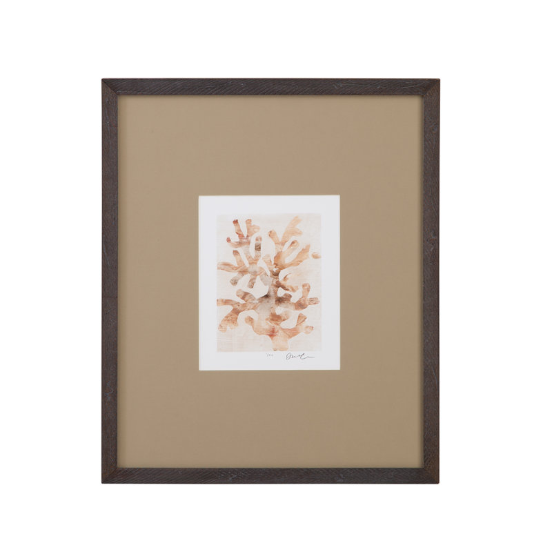 Parchment Coral I, reproduction encadrée
