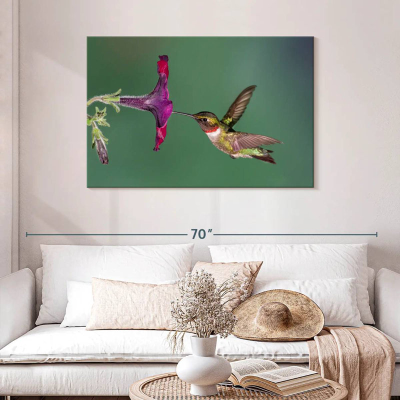 Nectar Brampt suçant un colibri, H 30 po x l 45 po