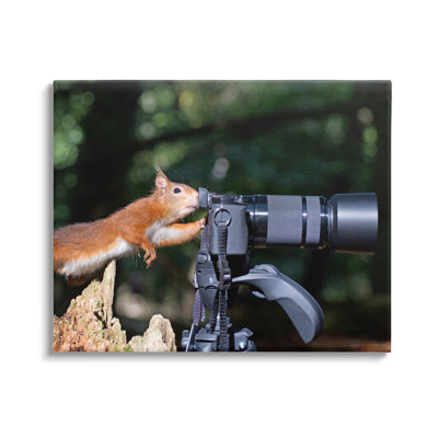 «Funny Squirreler» par Julie Hunt