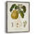 Toile avec cadre noyer