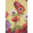 Anemones Table Runner-43680995