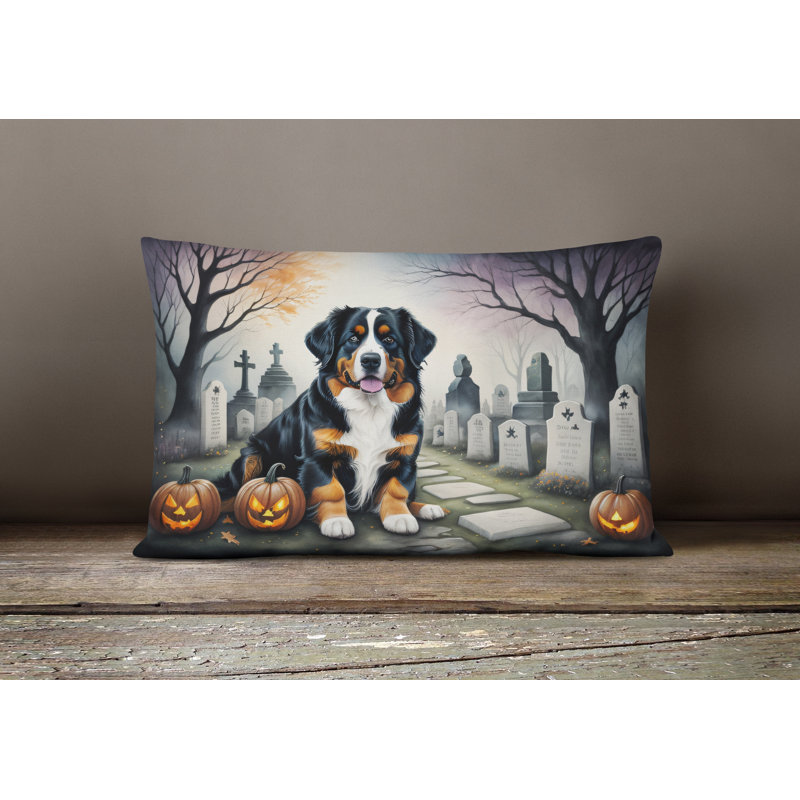 Other/No Pattern Outdoor Throw Pillow