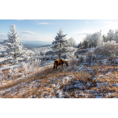 Virginia In The Winter by Eifel Kreutz - Wrapped Canvas Print
