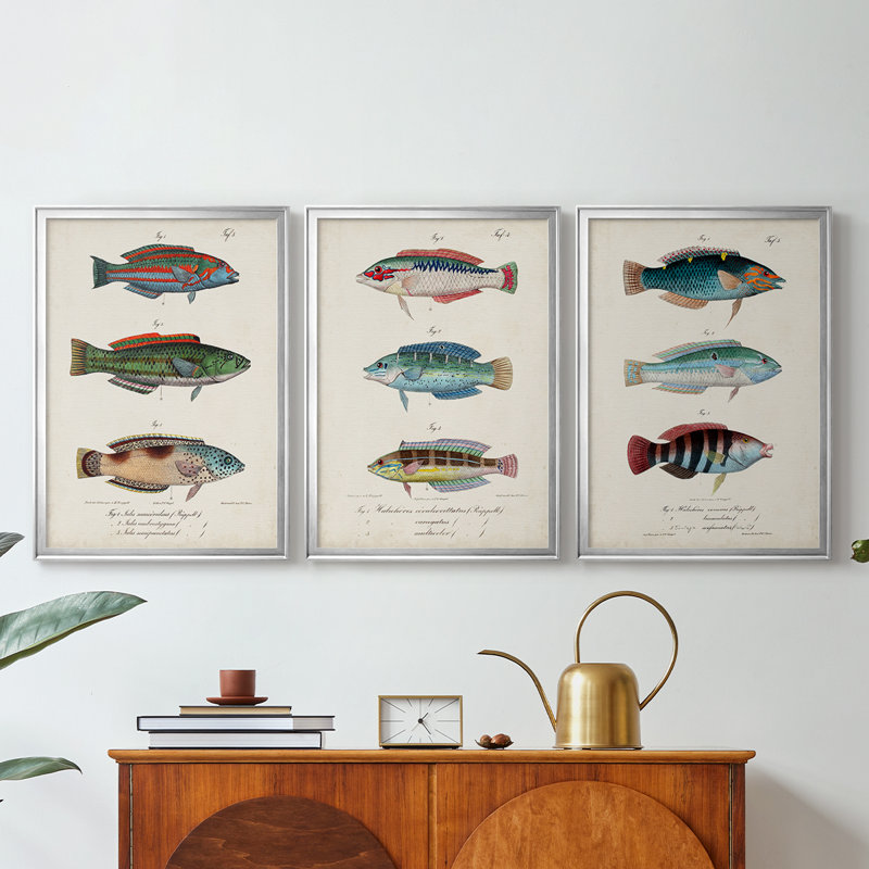 Antique Fish Trio I - Toile tendue avec châssis sur mesure - 3 pièces, Argent argent, H 27 po x l 39 po