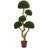 5ft. Five Head Boxwood Artificial Tree, UV Resistant (Indoor/Outdoor)