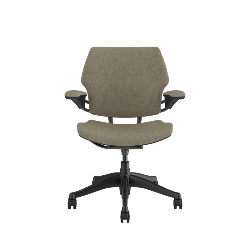 Freedom Ergonomic Task Chair - Guest, Graphite, Beige - 25