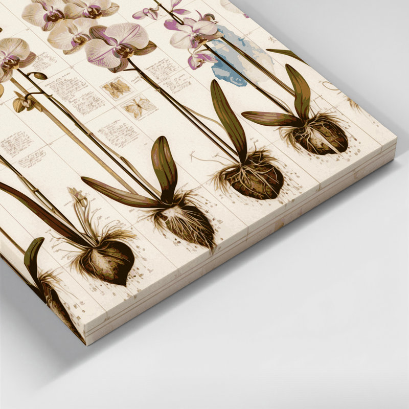Art botanique sur toile Botanical, H 16 po x l 16 po