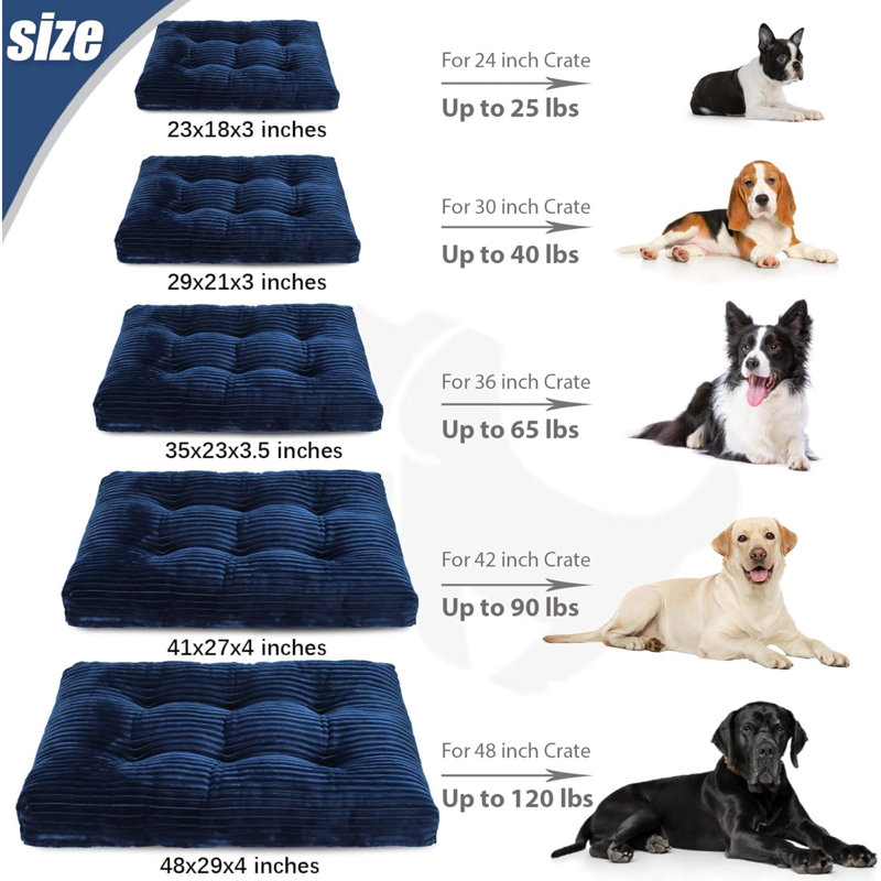 Lits pour chien Eibhlis, Bleu, H 3,5 po x l 23 po x P 35 po