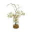 Orchid Arrangement in Glass Vase with Rocks-150529542