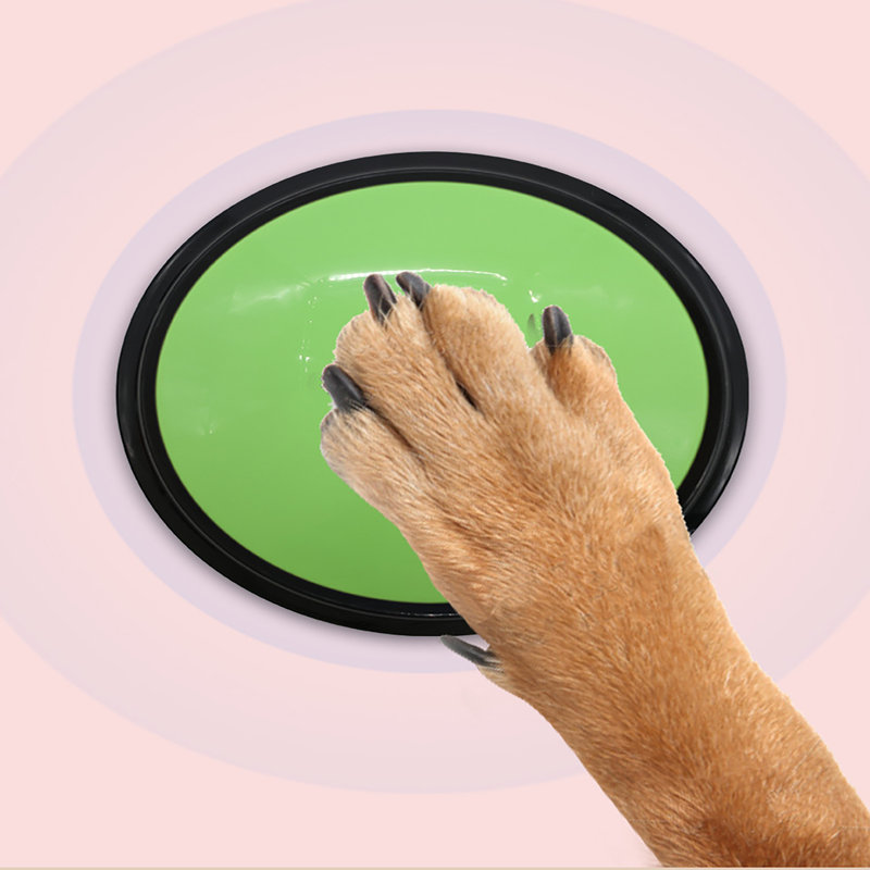 Paquet de 4 boutons d'entraînement au cerveau pour chiens et chats (jaune, bleu, vert, rouge)