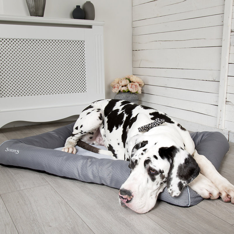 Polyester Pet Bed, 5cm H x 75cm W x 53cm D
